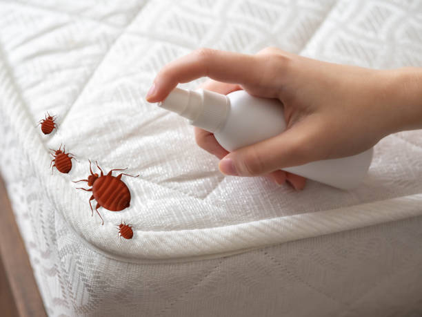 Best Bed Bug Extermination  in Fort Dix, NJ